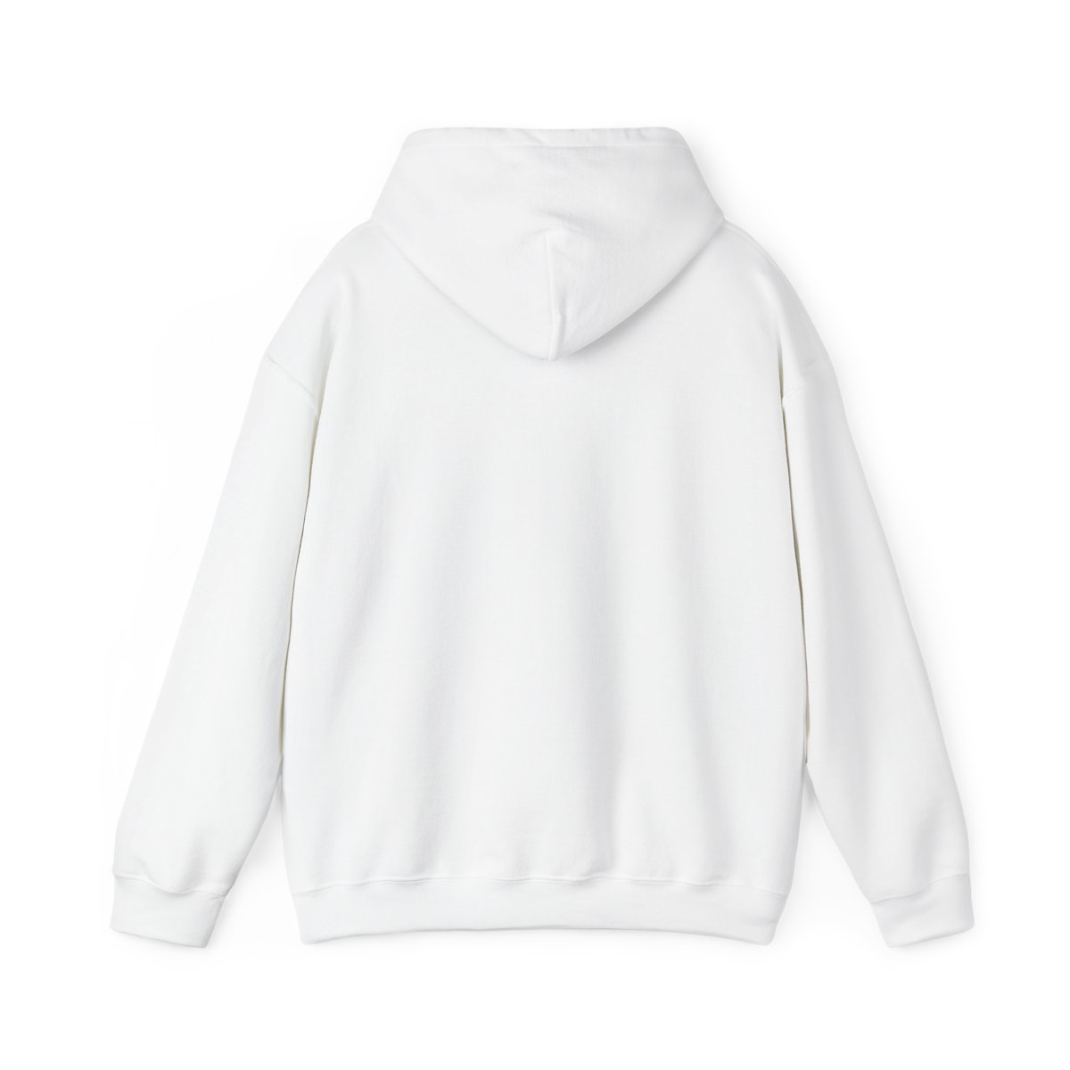 The OA "What do you believe in?" Hoodie - alternate angle 1, merchandise